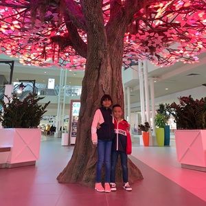 Meet your Posher, Alfredo